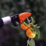 Telescopic Tree Pruner